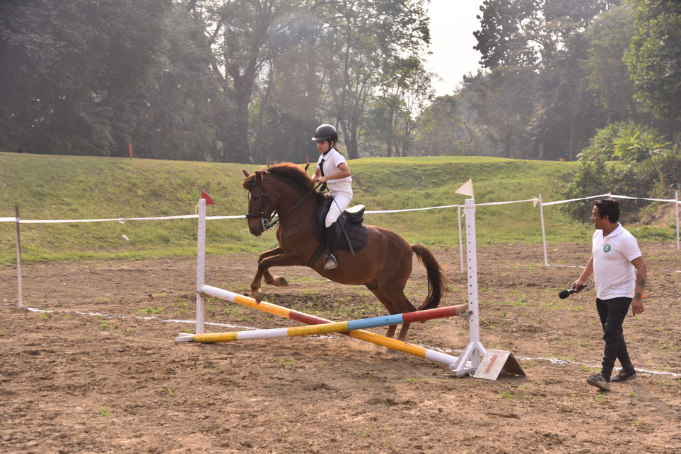 Horse Show