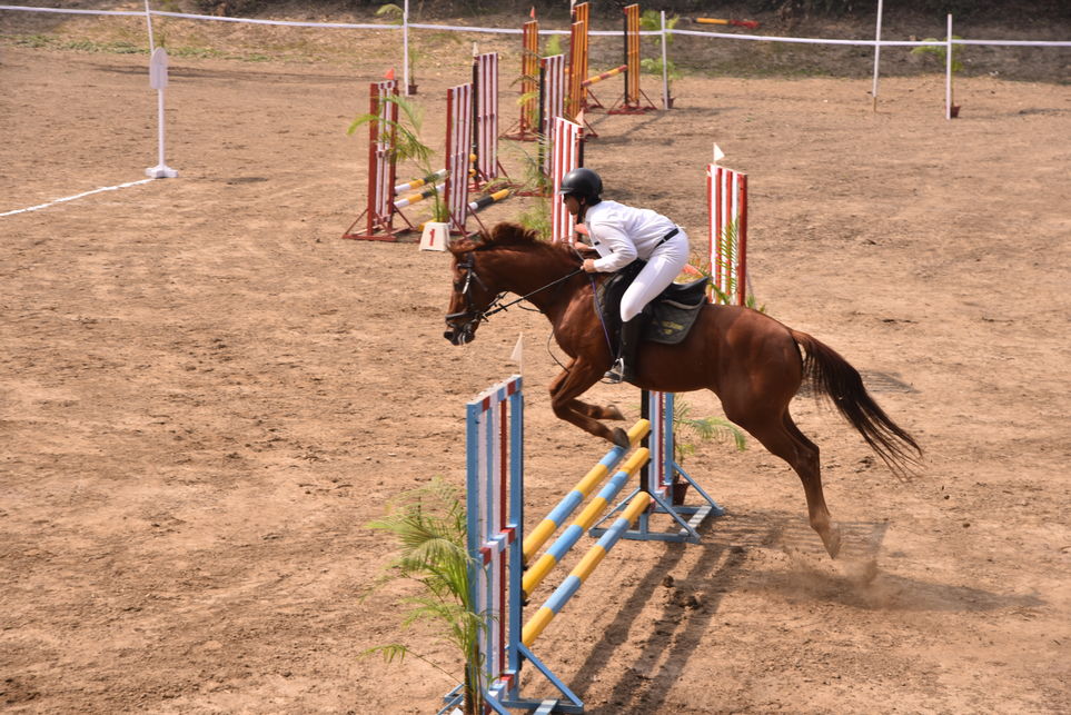 Horse Show
