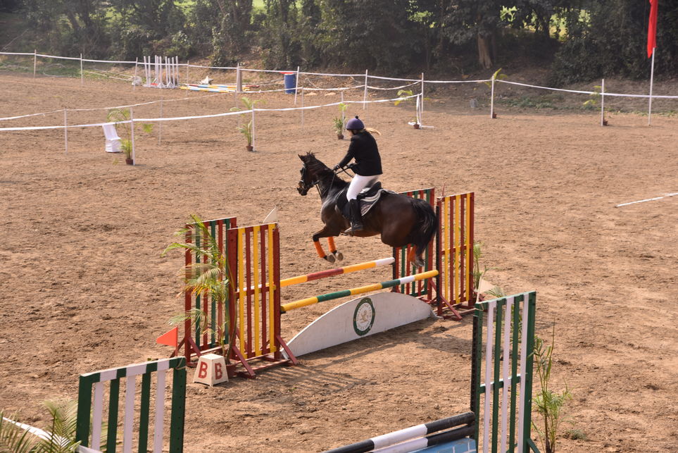 Horse Show